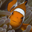 Discovery Life Gamerpic Discovery Life Gamerpic