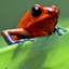 Discovery Life Gamerpic Discovery Life Gamerpic