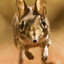 Discovery Life Gamerpic Discovery Life Gamerpic