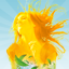Lipton 100% Natural Iced Tea Themes and Pics Gamerpic Lipton 100% Natural Iced Tea Themes and Pics Gamerpic