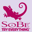 SoBe Try Everything Themes and Pics Gamerpic