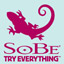SoBe Try Everything Themes and Pics Gamerpic