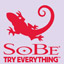SoBe Try Everything Themes and Pics Gamerpic