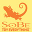 SoBe Try Everything Themes and Pics Gamerpic