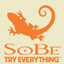 SoBe Try Everything Themes and Pics Gamerpic
