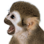 Telus CA Gamerpic Telus CA Gamerpic