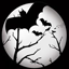 WOLFZKRIEGER Gamerpic